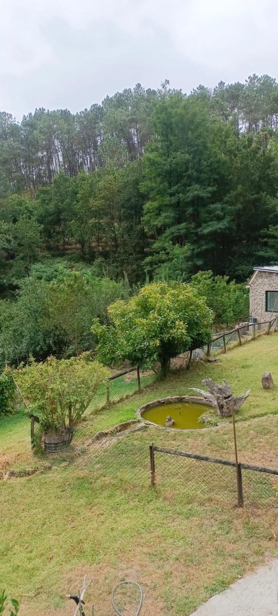 Villa Eido Benito Mondariz Esterno foto